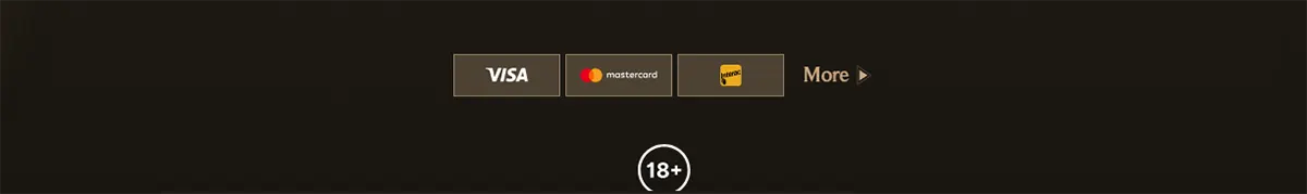 Payment methods footer with Visa, Mastercard, and Maestro icons, a “More” link, and an 18+ badge on a dark background.